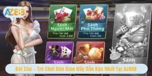 Bài cào